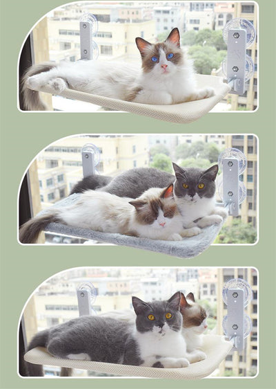 Cat Suction Cup Window Hammock