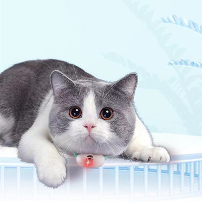 Smart Laser Cat Toy: USB-Charging Interactive Collar for Kittens.